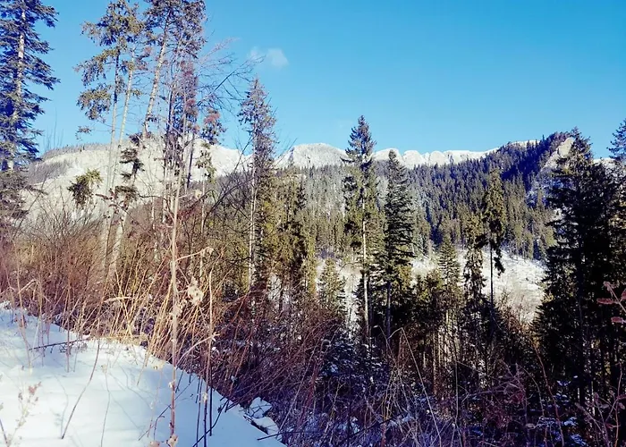 Haus Elena Apartament