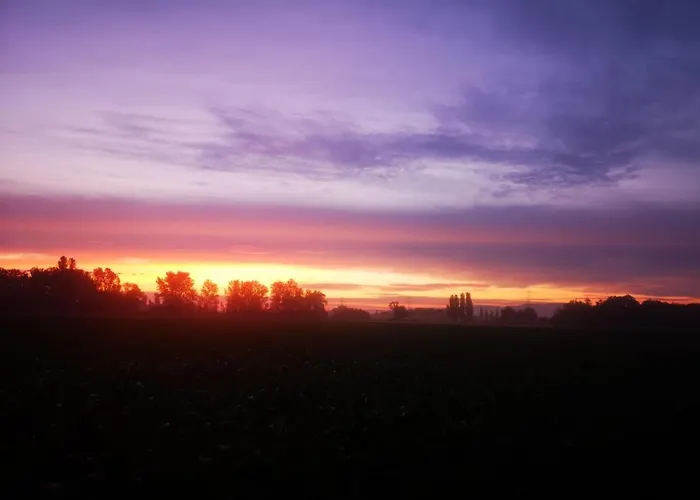 公寓 Haus Elena 贝斯特维格